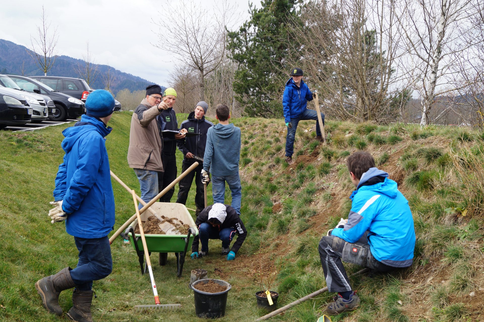 Anlage einer Bienenweide-Ökologie zum Anfassen